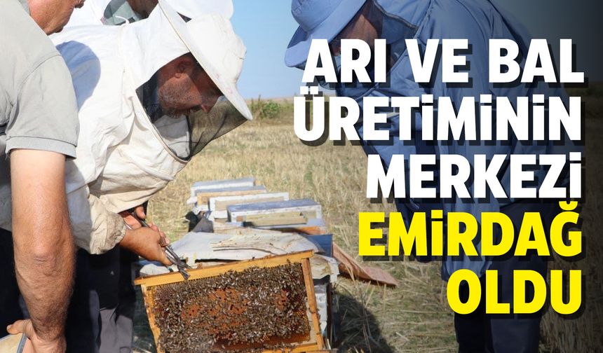 Arı ve bal üretimi noktasında Emirdağ merkez haline geldi