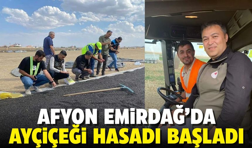 Afyon Emirdağ'da ayçiçeği hasadı başladı