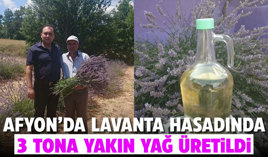 Afyon'da lavanta hasadında 3 tona yakın yağ üretildi