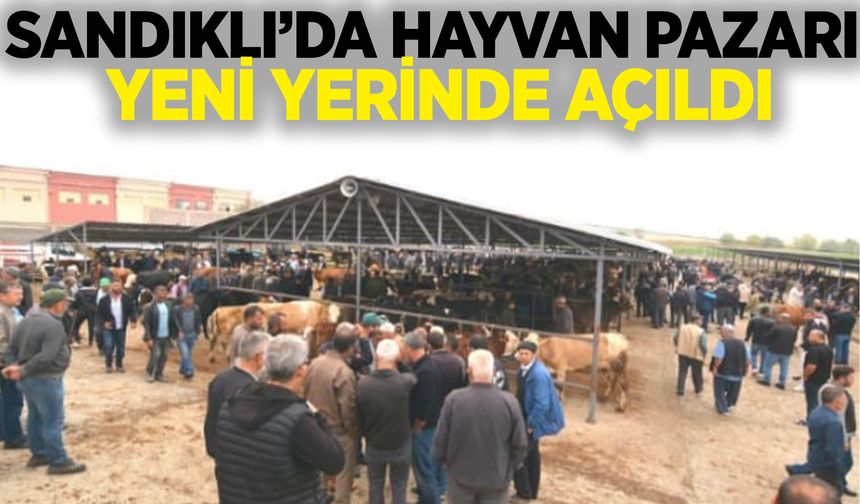 Sandıklı' da hayvan pazarı yeni yerinde açıldı