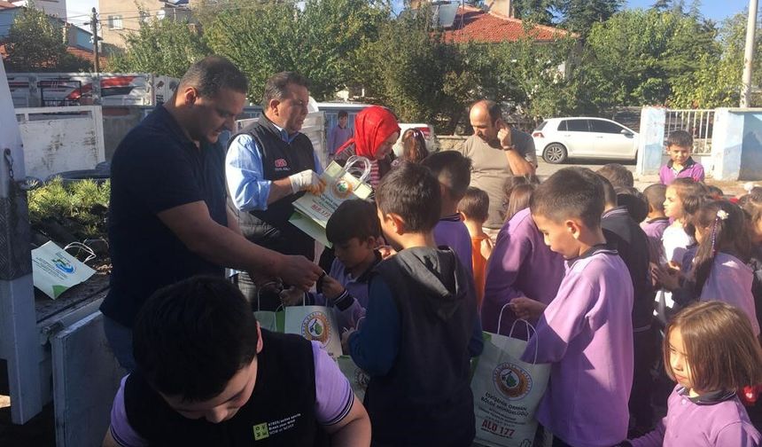 Afyon Şuhut'ta 400 ağaç toprakla buluştu