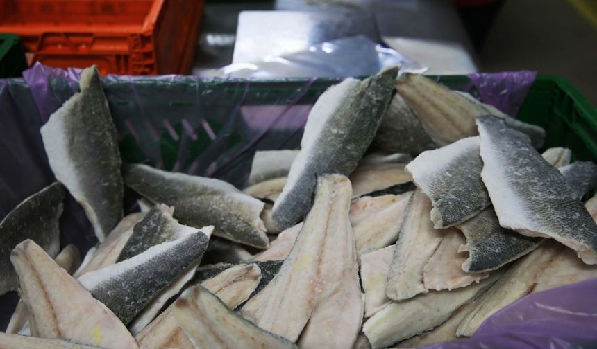 Muğla'dan 11 ayda 700 milyon dolarlık balık ihracatı yapıldı