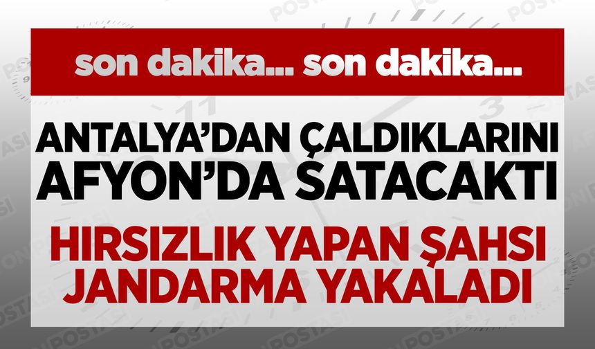 Antalya'dan çaldıklarını Afyon'da satacaktı: Hırsızlık yapan şahsı jandarma yakaladı