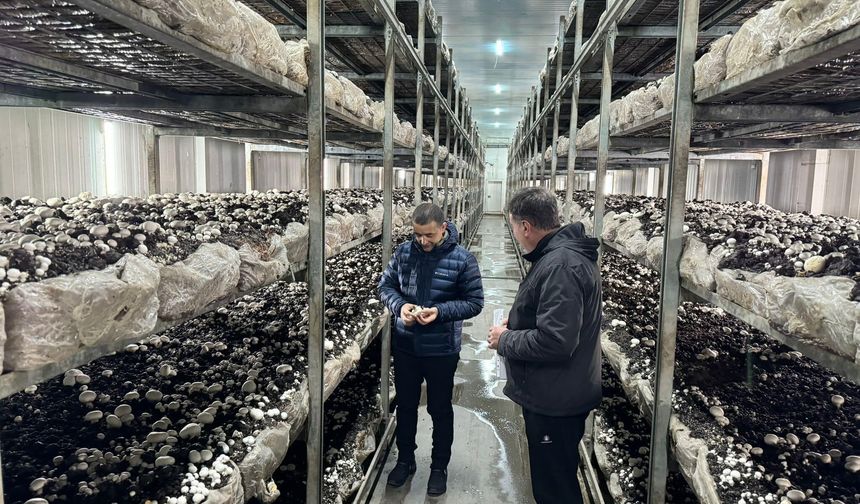 Afyon'un Emirdağ ilçesinde OSB'deki işletmeler üretime devam ediyor