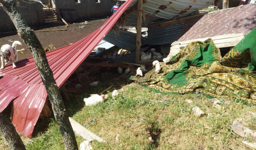 Uşak'ta fırtına nedeniyle bazı ev ve ahırların çatısı uçtu