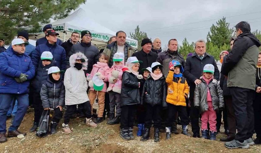 Fidan dikim etkinliği yapıldı