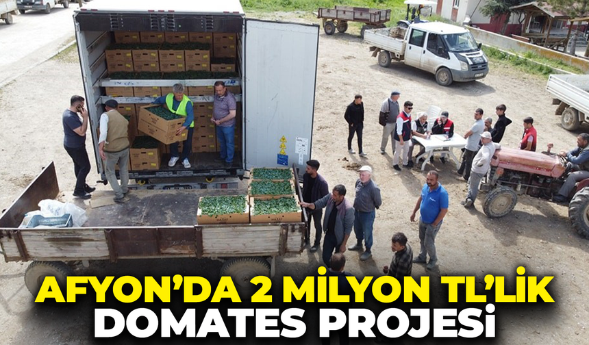 Afyon'da 2 Milyon TL'lik Domates Projesi