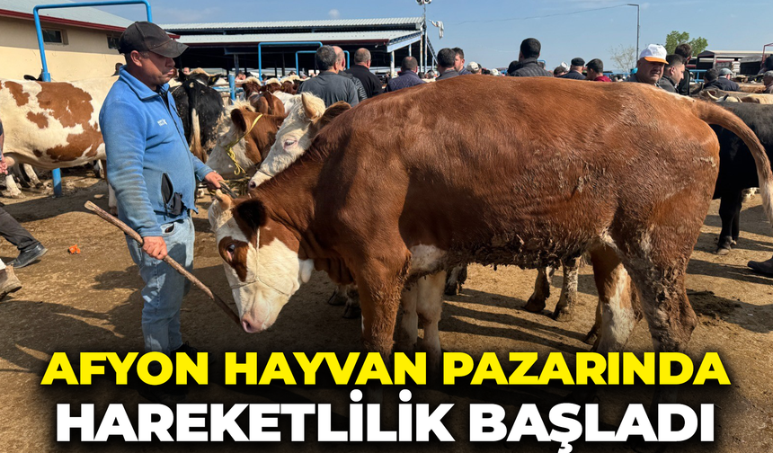 Afyon Hayvan Pazarında Hareketlilik Başladı