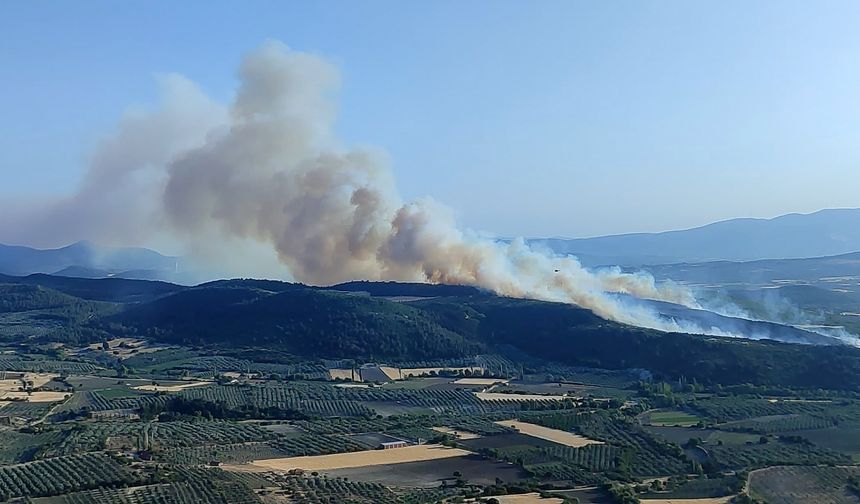 Manisa Kırkağaç’ta Orman Yangını Kontrol Altına Alındı
