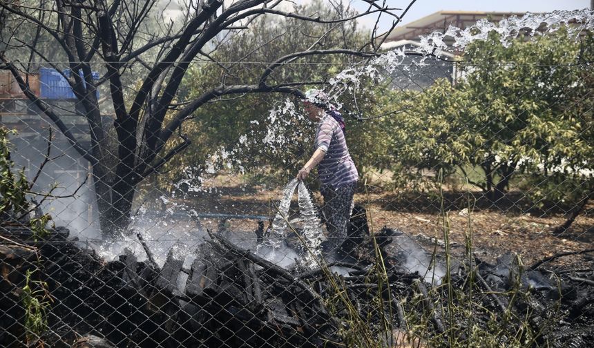 Muğla'da yakacak deposunda meydana gelip zeytin bahçesine yayılan yangın kontrol altına alındı