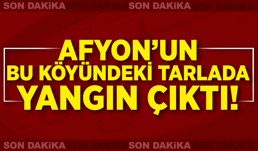Afyon'un Bu Köyündeki Tarlada Yangın Çıktı!