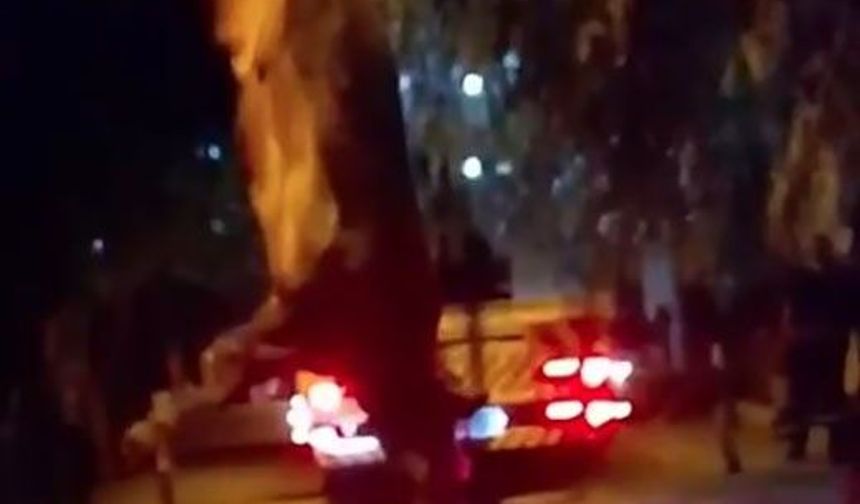 Dereye düşen kurbanlık dana vinçle kurtarıldı