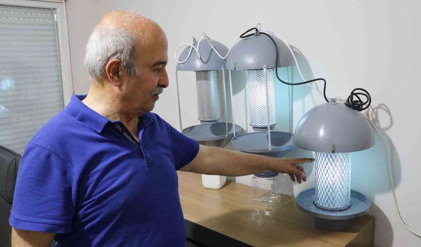 Domates güvesi ve mantar sineğine ışık tuzağı: Tarımda ilaçsız mücadele mümkün