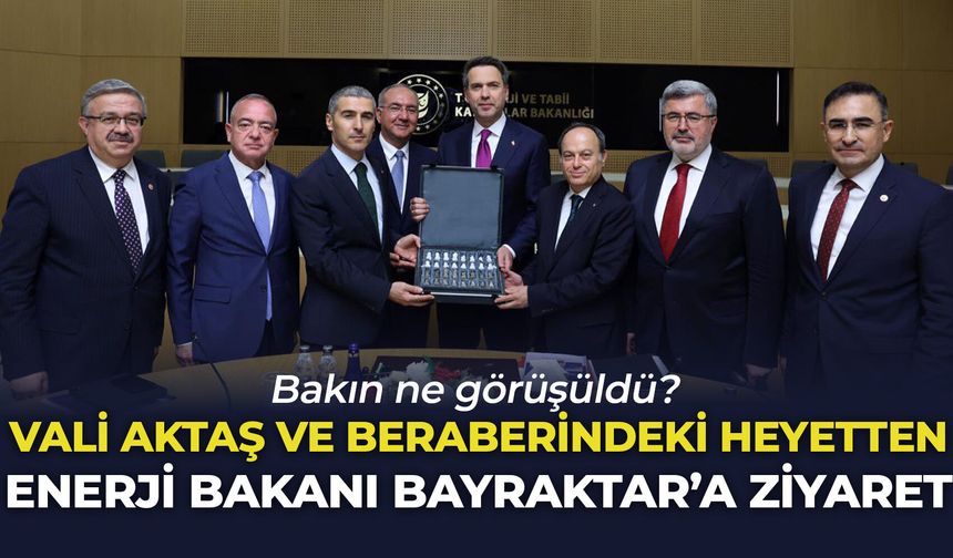Vali Aktaş ve beraberindeki heyet Enerji Bakanı Bayraktar'ı ziyaret etti: Bakın ne görüşüldü?