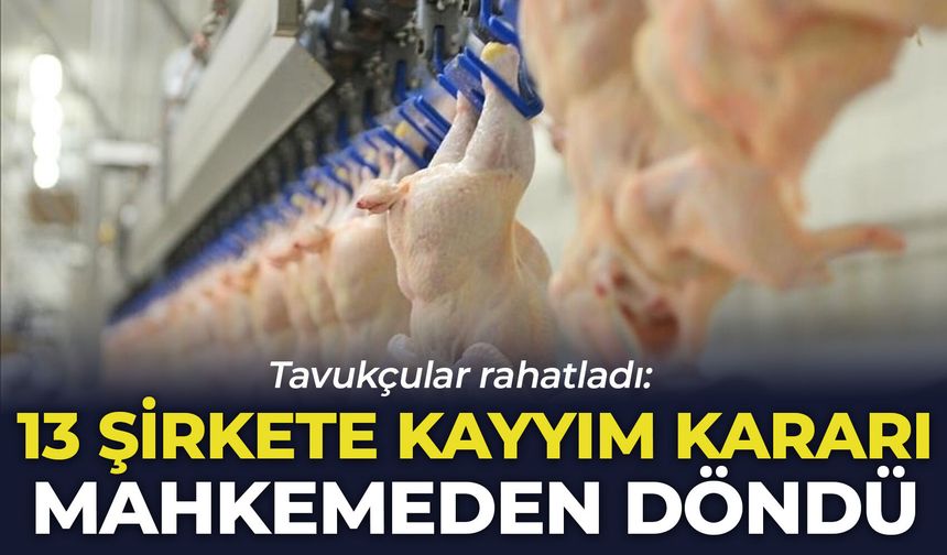 Tavukçular rahatladı: 13 şirkete kayyım kararı mahkemeden döndü
