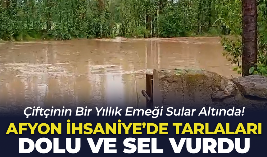 İhsaniye'de Tarlaları Dolu ve Sel Vurdu: Çiftçinin Bir Yıllık Emeği Sular Altında!