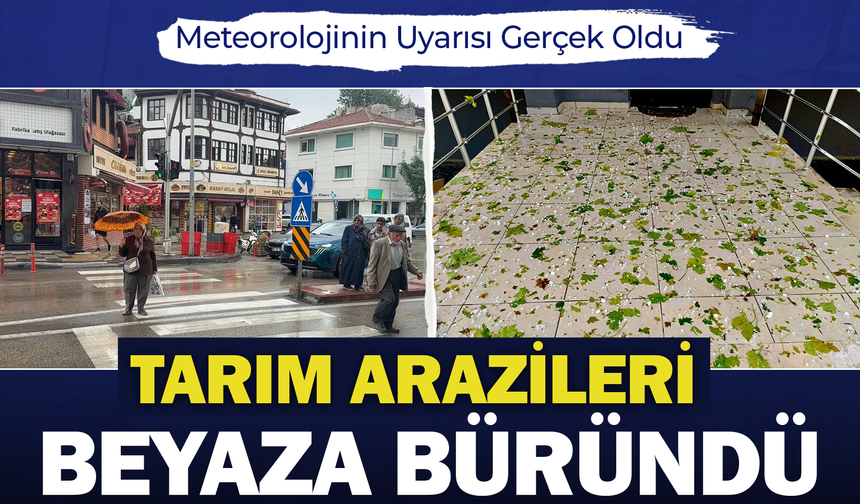 Afyon'da Sağanak ve Dolu Hayatı Olumsuz Etkiledi: Tarım Arazileri Zarar Gördü