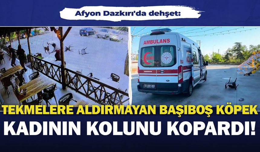 Afyon Dazkırı'da dehşet: Tekmelere aldırmayan başıboş köpek kadının kolunu kopardı!