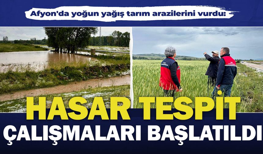 Afyon'da yoğun yağış tarım arazilerini vurdu: Hasar tespit çalışmaları başlatıldı