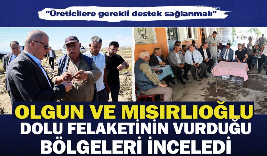 Olgun ve Mısırlıoğlu dolu felaketinin vurduğu bölgelerde incelemede bulundu: "Üreticilere gerekli destek sağlanmalı"