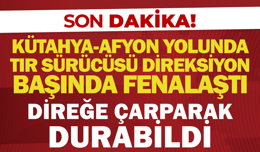 Kütahya-Afyon Yolunda Tır Sürücüsü Direksiyon Başında Fenalaştı: Direğe Çarparak Durabildi
