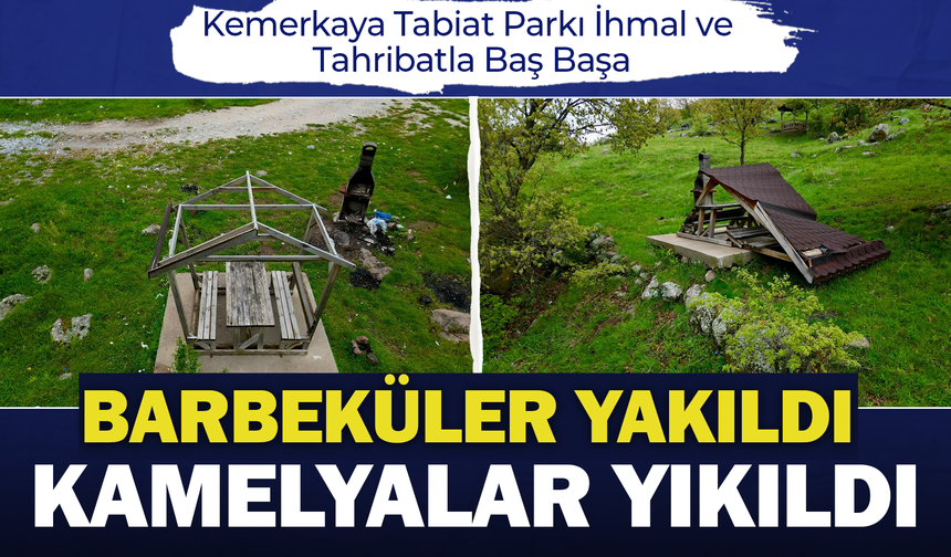 Kemerkaya Tabiat Parkı İhmal ve Tahribatla Baş Başa: Barbeküler Yakıldı, Kamelyalar Yıkıldı