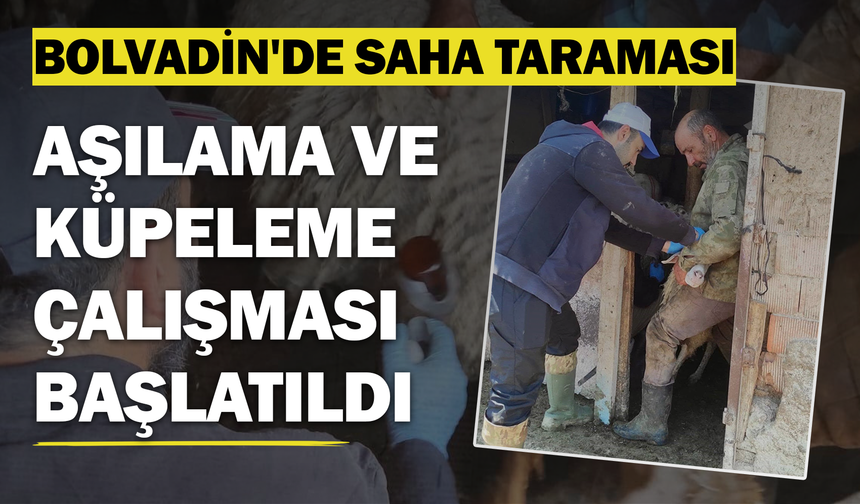 Bolvadin'de Küçükbaş Hayvanlara Aşılama ve Küpeleme Çalışması