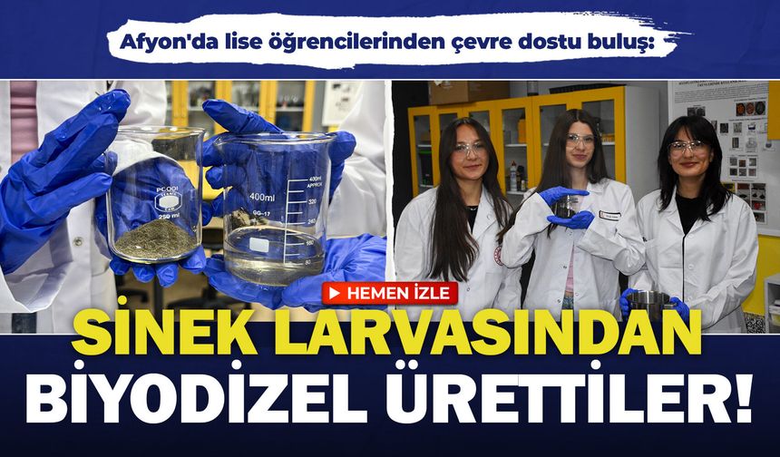 Afyon'da lise öğrencilerinden çevre dostu buluş: Sinek larvasından biyodizel ürettiler!