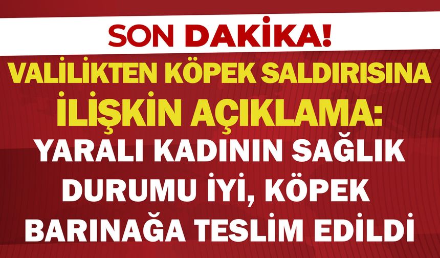 Valilikten köpek saldırısına ilişkin açıklama: “Yaralı kadının sağlık durumu iyi, köpek barınağa teslim edildi”