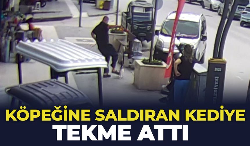 Köpeğine saldıran kediye tekme attı