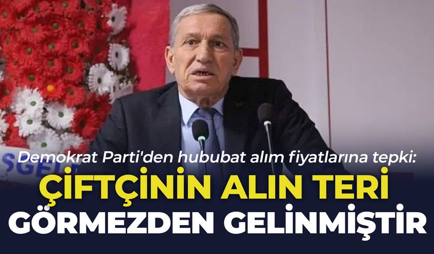 Demokrat Parti'den hububat alım fiyatlarına tepki: "Çiftçinin alın teri görmezden gelinmiştir"