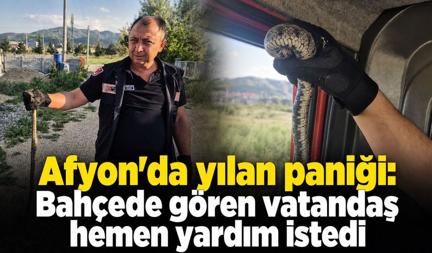 Afyon'da evde yılan paniği: Gören şok oldu!
