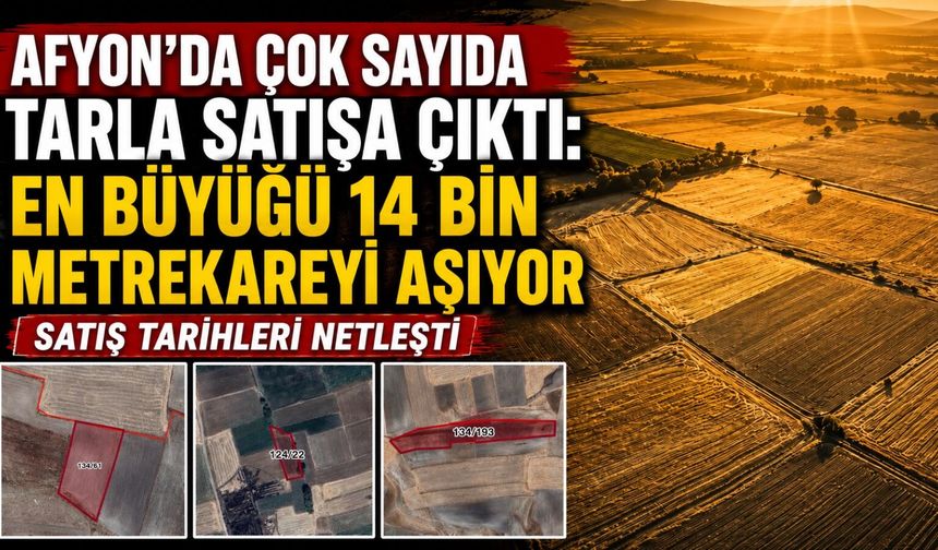 Afyon’da çok sayıda değerli tarla satışa çıkıyor: En büyüğü 14 bin metrekareyi aşıyor… Satış tarihleri netleşti