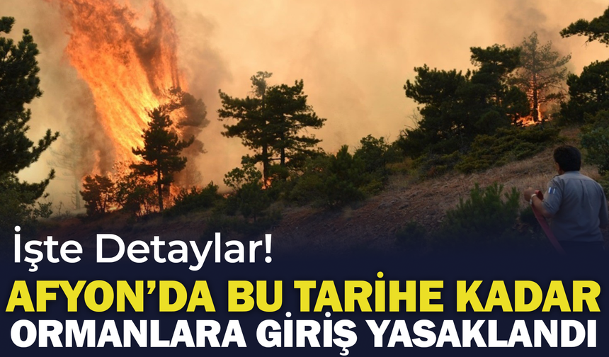 Afyon'da Bu Tarihe Kadar Ormanlara Giriş Yasaklandı: İşte Detaylar