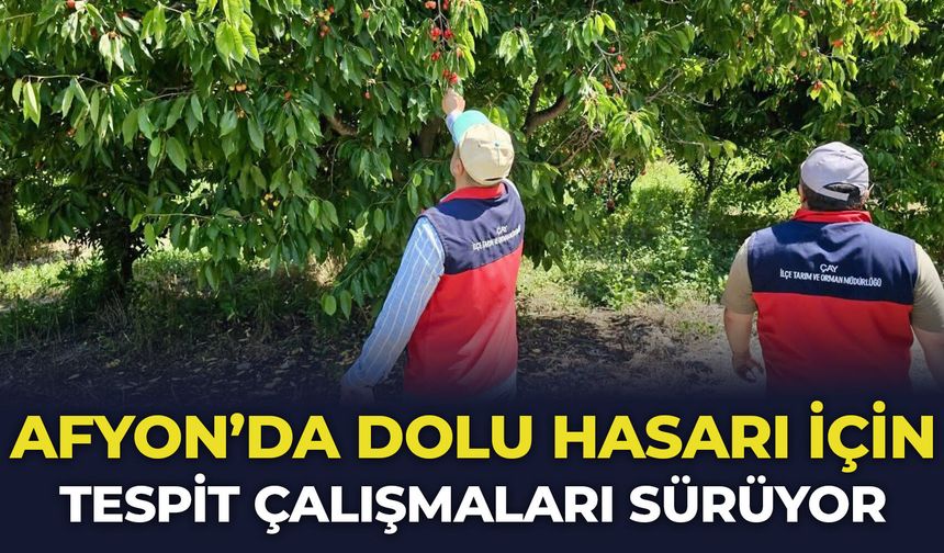 Afyon'da dolu hasarı için tespit çalışmaları sürüyor