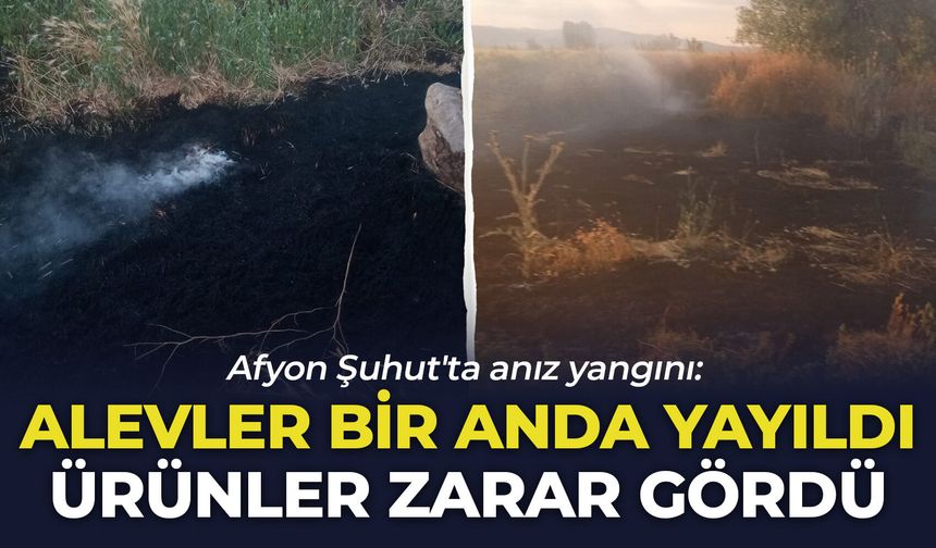 Afyon Şuhut'ta anız yangını: Alevler bir anda yayıldı, ürünler zarar gördü!