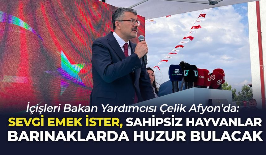 İçişleri Bakan Yardımcısı Çelik Afyon'da: "Sevgi emek ister, sahipsiz hayvanlar barınaklarda huzur bulacak"