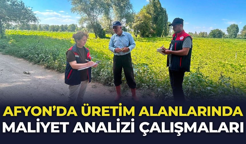 Afyon’da üretim alanlarında maliyet analizi çalışmaları sürüyor
