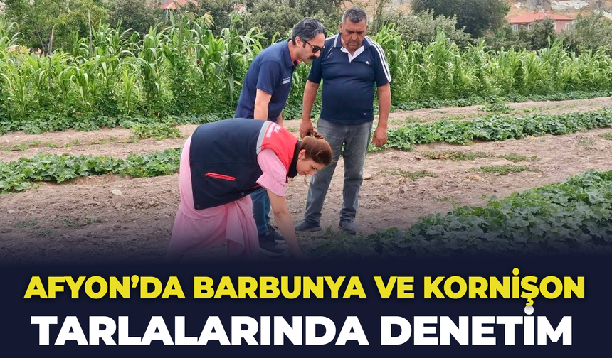 Afyon'da Barbunya ve Kornişon Tarlalarında Denetim