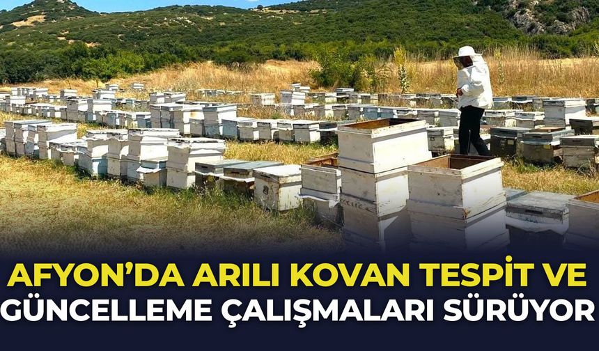 Afyon'da arılı kovan tespit ve güncelleme çalışmaları sürüyor