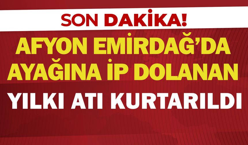 Afyon Emirdağ'da ayağına ip dolanan yılkı atı kurtarıldı