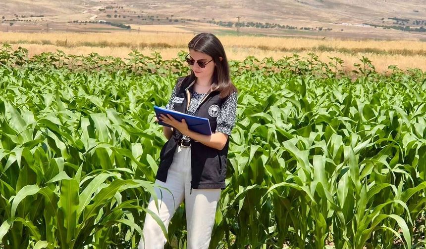 Afyon Şuhut’ta ekipler sahada: Üretim kayıtlarıyla ekili alanlar karşılaştırıldı