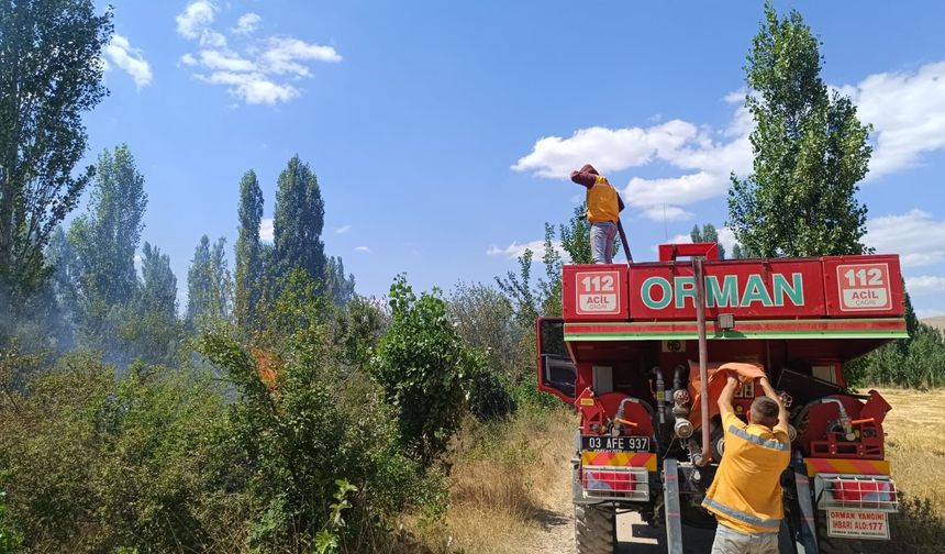 Afyon Sandıklı'da ot yangını paniğe neden oldu: Ağaçlık alan zarar gördü!