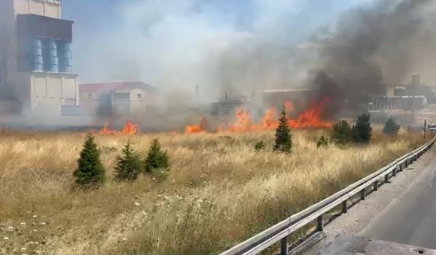 Afyon Emirdağ'da anız yangını: Yoğun duman trafiği aksattı!