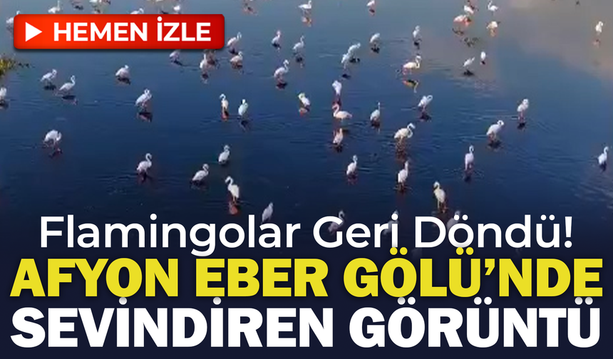Afyon Eber Gölü'nde Sevindiren Görüntü: Flamingolar Geri Döndü
