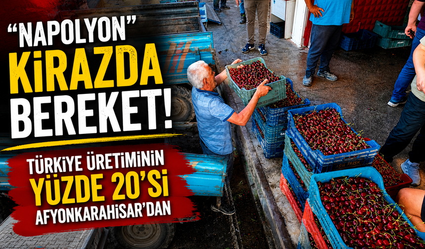 "Napolyon" Kirazda Bereket: Türkiye Üretiminin Yüzde 20'si Afyonkarahisar'dan