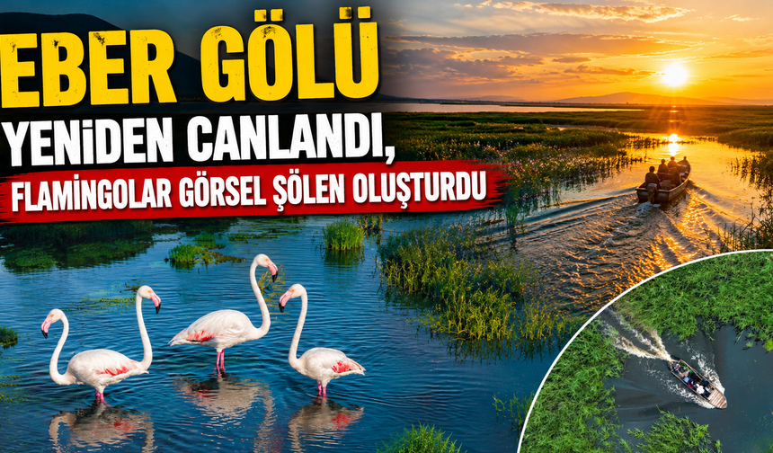 Eber Gölü Yeniden Canlandı, Flamingolar Görsel Şölen Oluşturdu