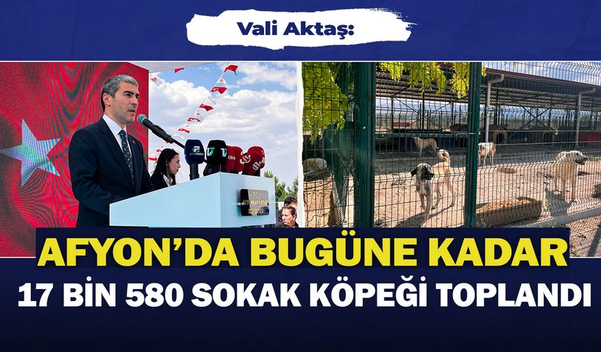 Vali Aktaş: "Afyonkarahisar'da bugüne kadar 17 bin 580 sokak köpeği toplandı"