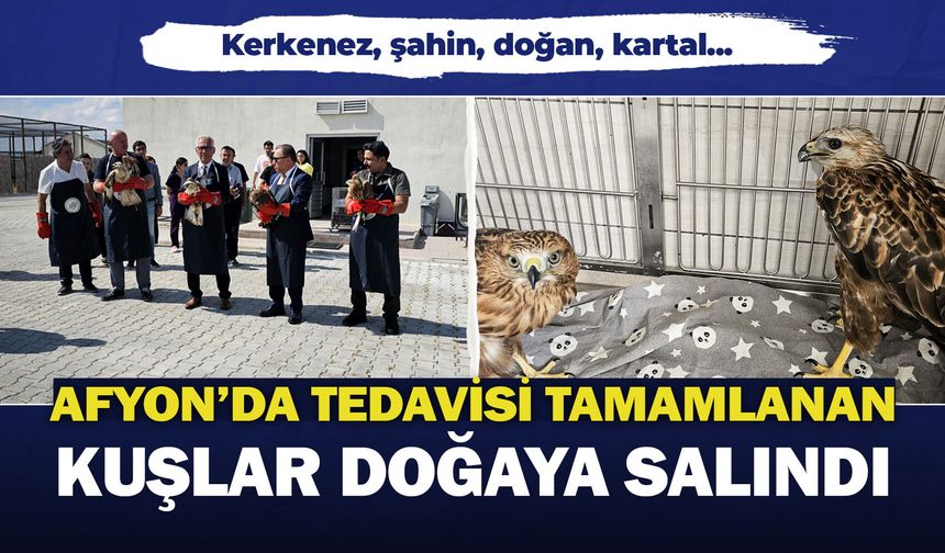 Afyon'da tedavisi tamamlanan kuşlar doğaya salındı: Kerkenez, şahin, doğan, kartal...