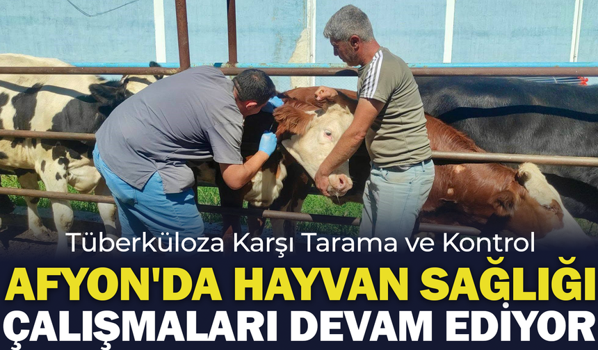 Afyonkarahisar'da Hayvan Sağlığı Çalışmaları Devam Ediyor: Tüberküloza Karşı Tarama ve Kontrol